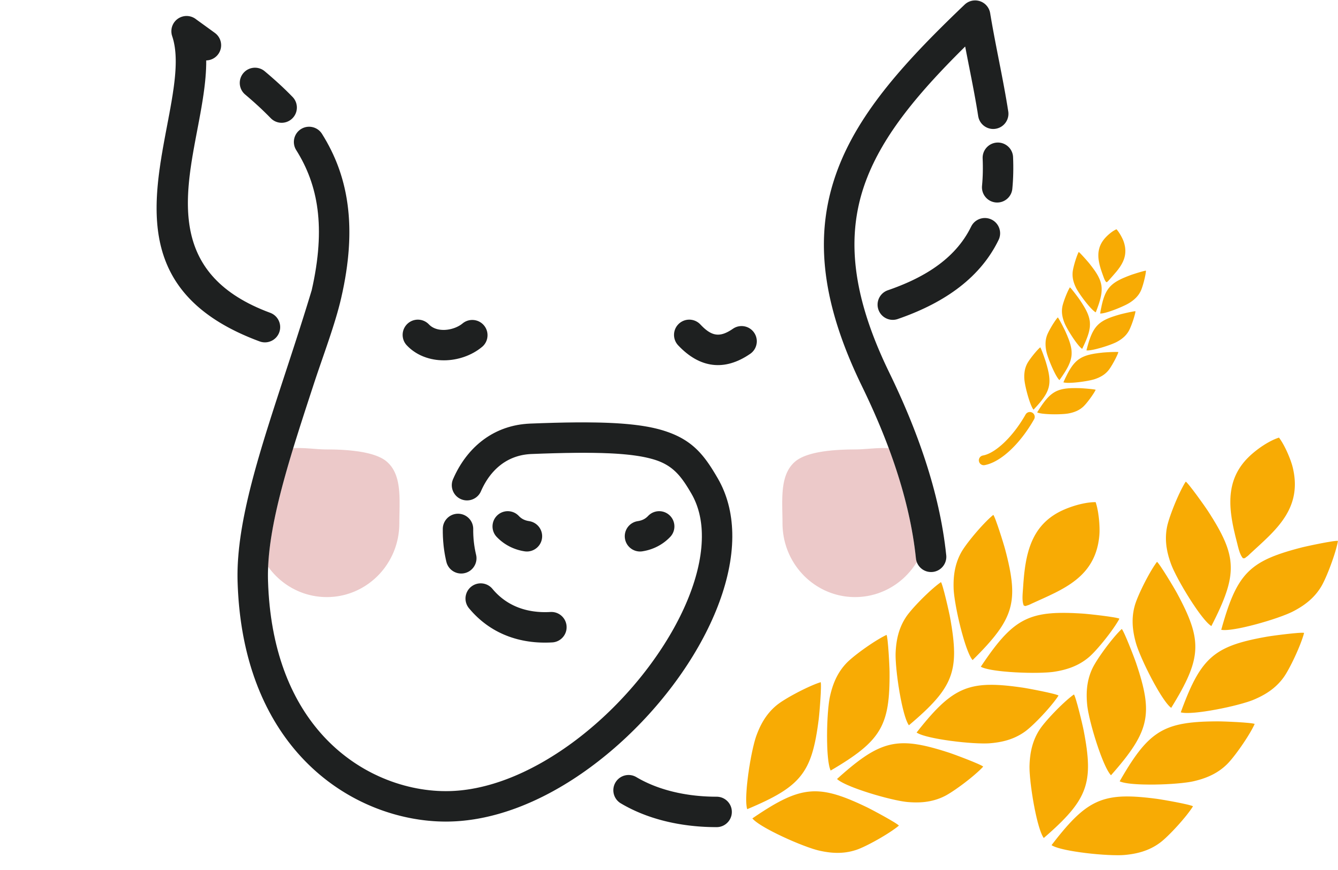 Славянский продукт: выращивание свиней, производство свиного мяса, комбикорма